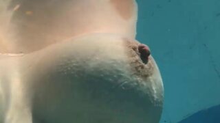 Lillias Right Nude Pool OnlyFans Video